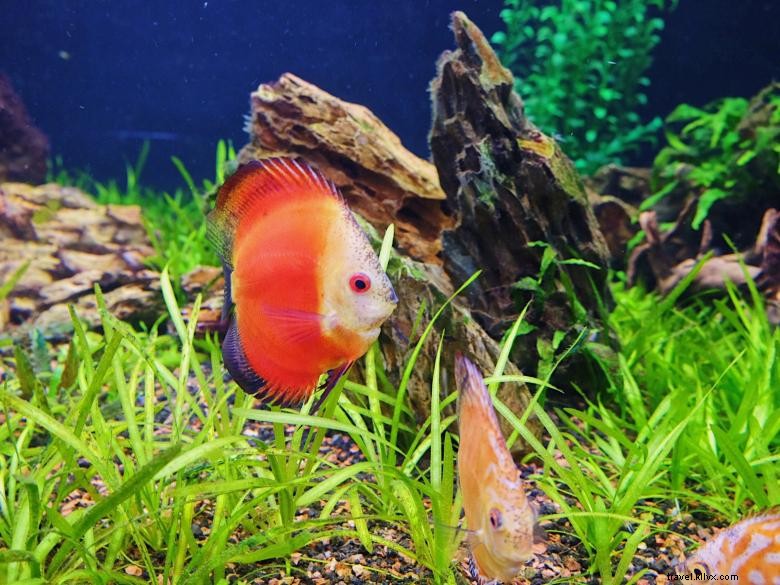 SeaQuest Stonecrest – Premium Property Overview