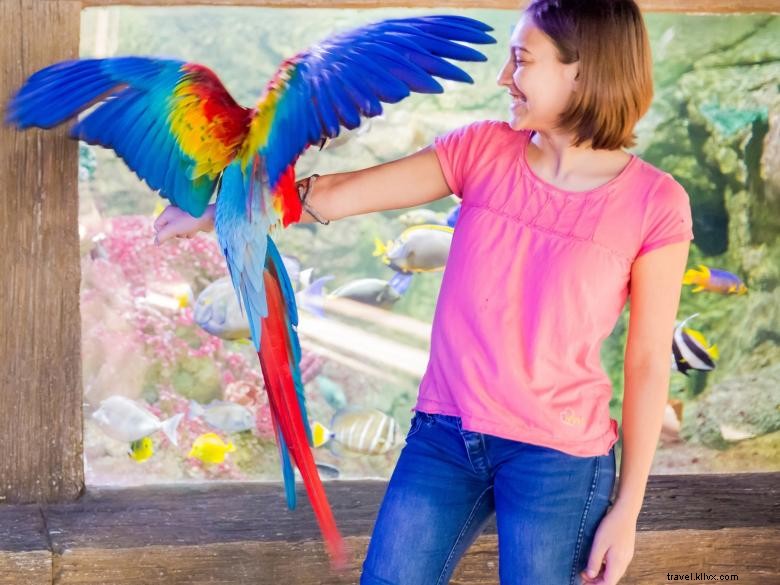 SeaQuest Stonecrest – Premium Property Overview