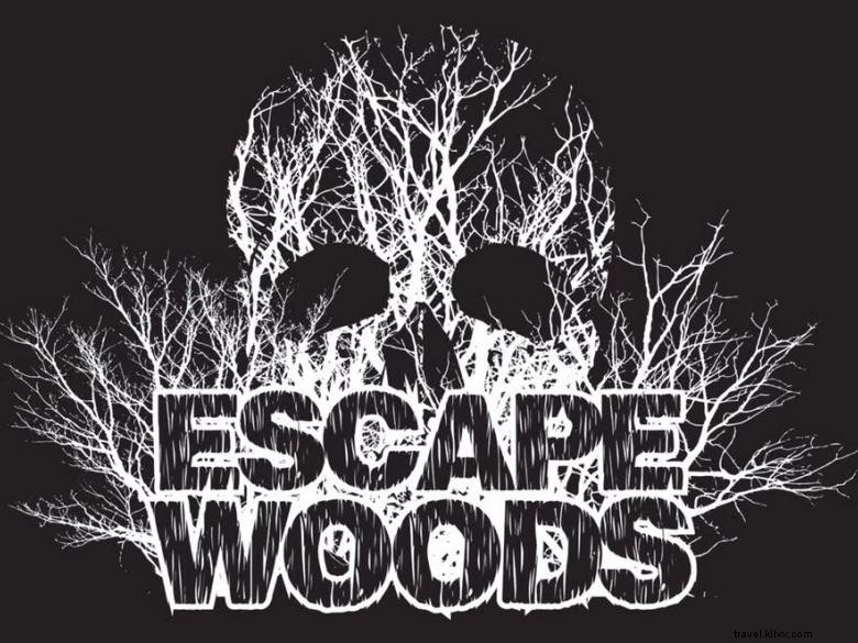 Escape Woods: Your Guide to the Ultimate Natural Retreat