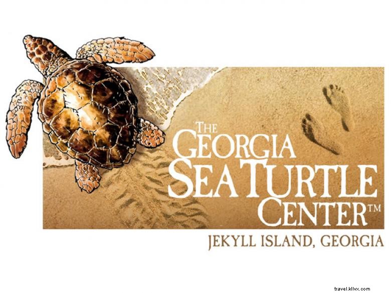 Georgia Sea Turtle Center: Conservation, Research, and Rehabilitation Hub