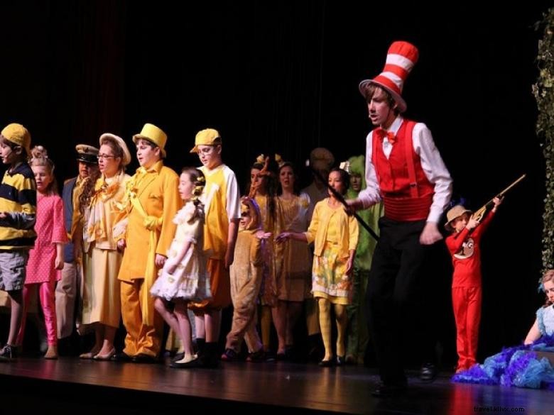 Cedartown Performing Arts Center: Experience Premier Live Entertainment