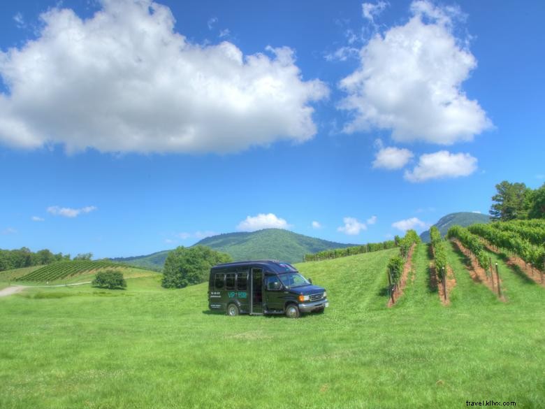 VIP Southern Tours: Exclusive Wine Bus Experiences in Georgia