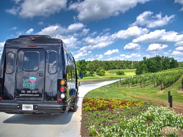 VIP Southern Tours: Exclusive Wine Bus Experiences in Georgia
