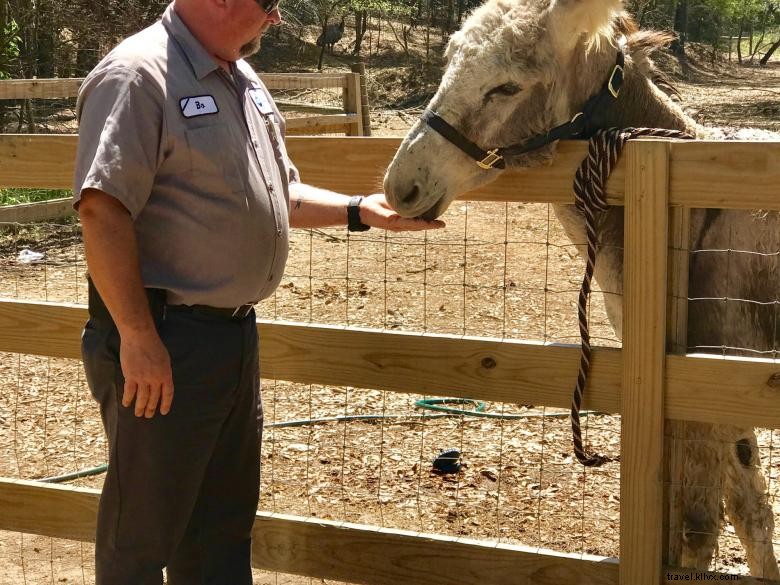 Explore Bainbridge Animal Park – A Family-Friendly Wildlife Experience