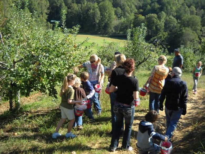 Red Apple Barn – Premium Orchard & U‑Pick Experience