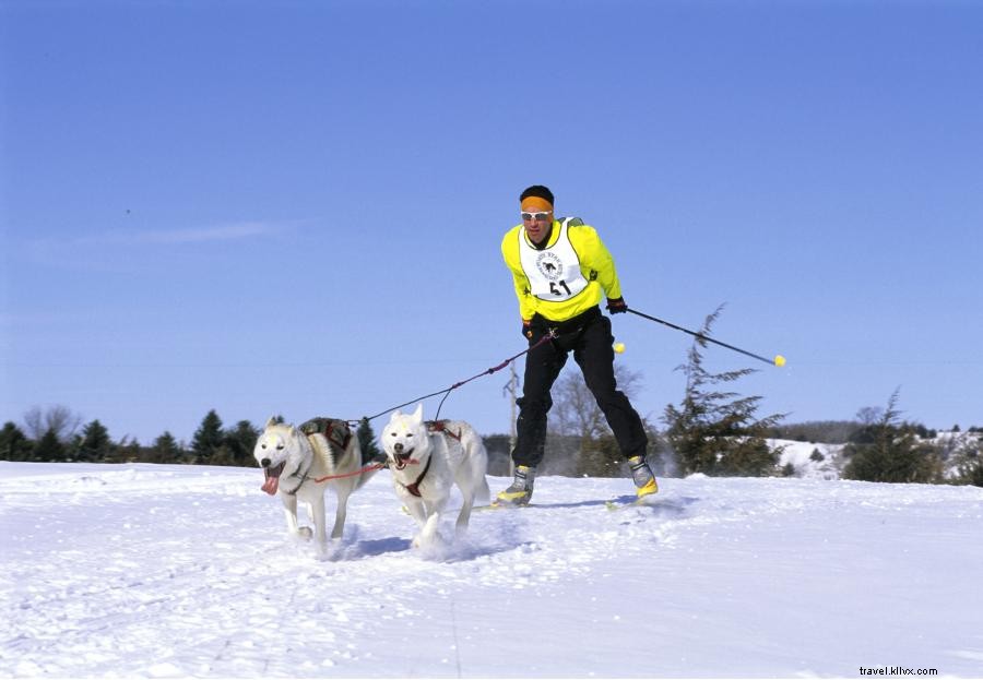 Experience Winter in Northeast Minnesota: 6 Must‑Try Rental Adventures