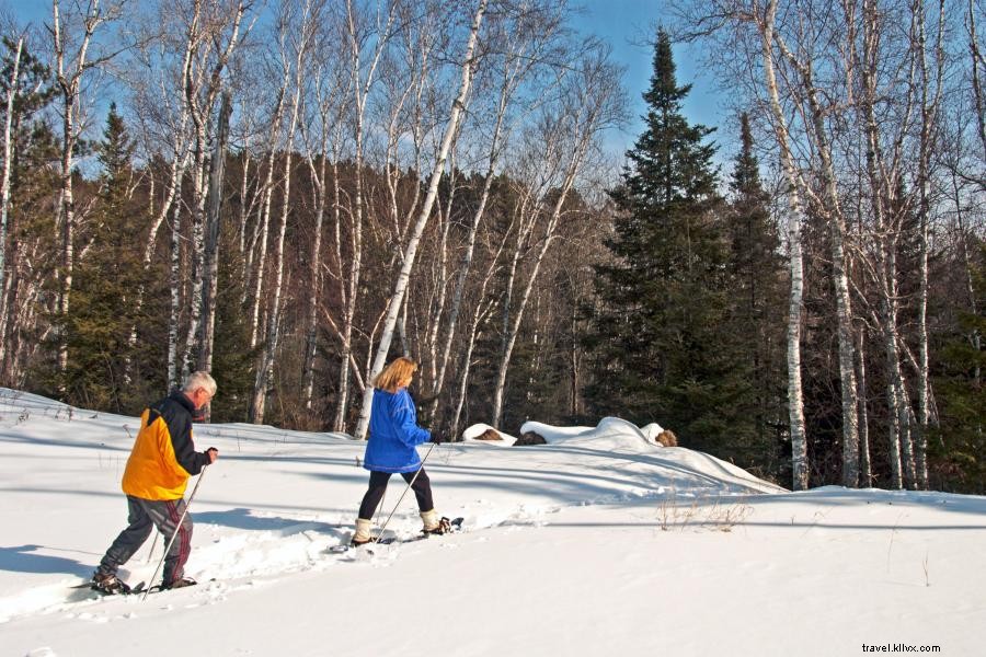 Experience Winter in Northeast Minnesota: 6 Must‑Try Rental Adventures