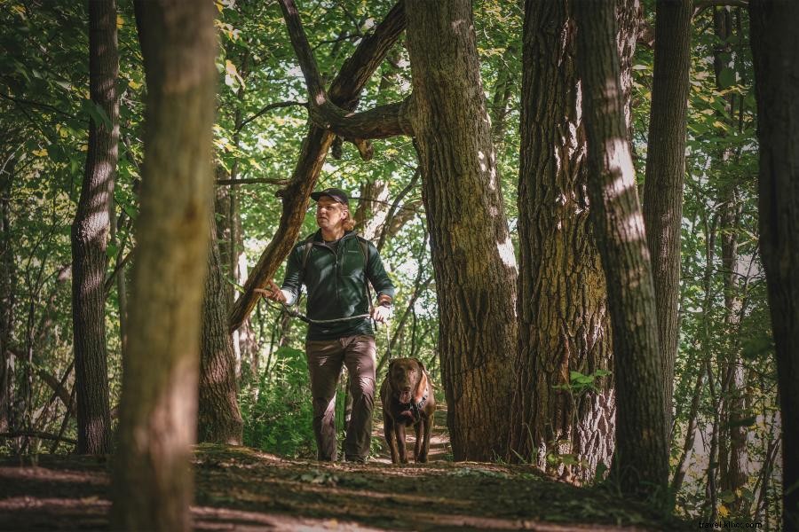Discover Minnesota’s Best Hiking Trails: Top 10 Must‑Explore Paths