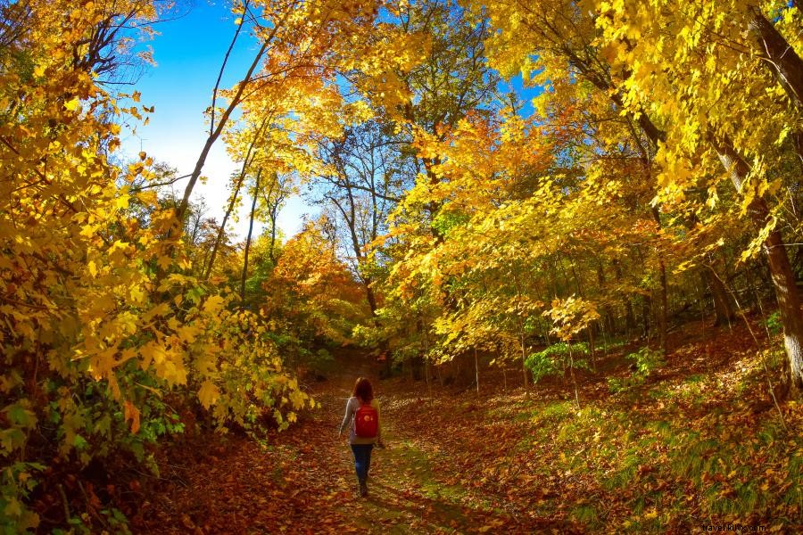 Discover Minnesota’s Best Hiking Trails: Top 10 Must‑Explore Paths