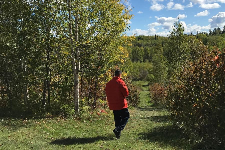 Discover Minnesota’s Best Hiking Trails: Top 10 Must‑Explore Paths