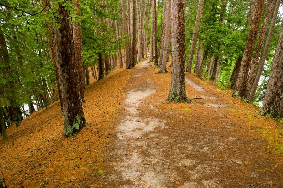 Discover Minnesota’s Best Hiking Trails: Top 10 Must‑Explore Paths