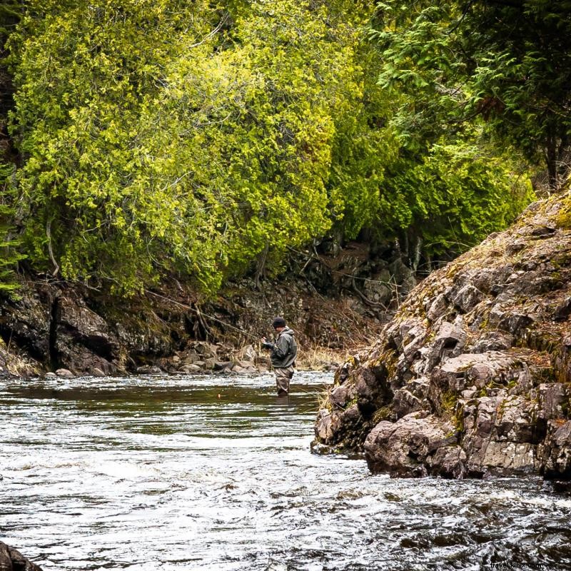 Minnesota s Spectacular Streams: A Trout Angler s Paradise