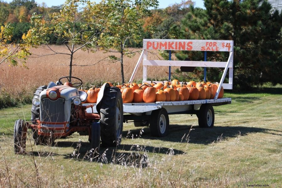 Explore 9 Top Minnesota Pumpkin Patches for Family Adventures