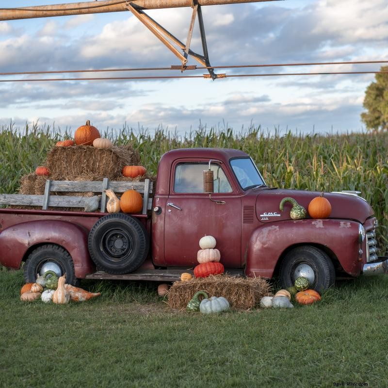 Explore 9 Top Minnesota Pumpkin Patches for Family Adventures