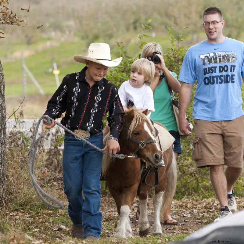 Explore 9 Top Minnesota Pumpkin Patches for Family Adventures