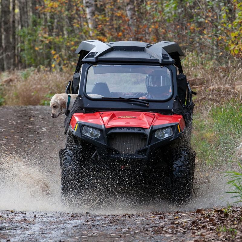 Top 7 Must‑Visit ATV Trails in Minnesota