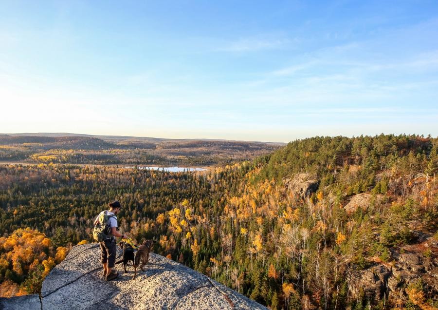 Best Scenic Fall Hikes in Minnesota: Top Trails to Explore