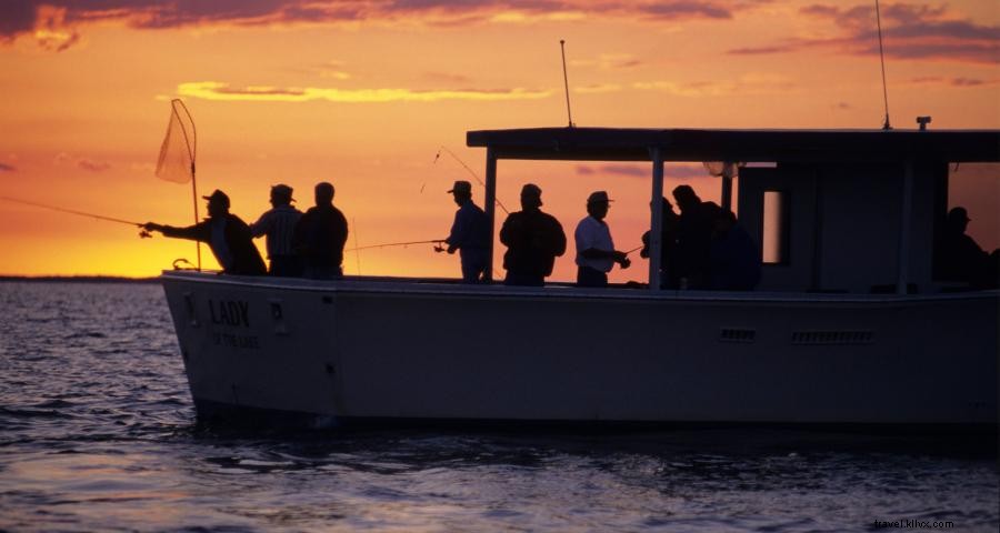 Master the Art of Catching Walleye: Minnesota’s State Fish