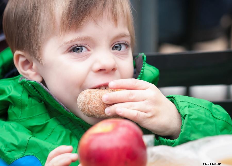 Pedal Through Minnesota s Premier Apple Orchards