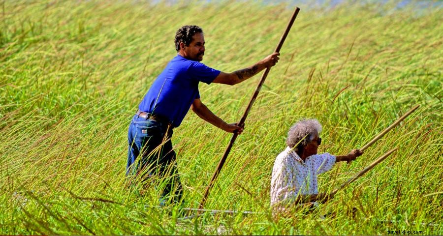 Discover Minnesota s Wild Foods: A Trusted Guide to Outdoor Foraging