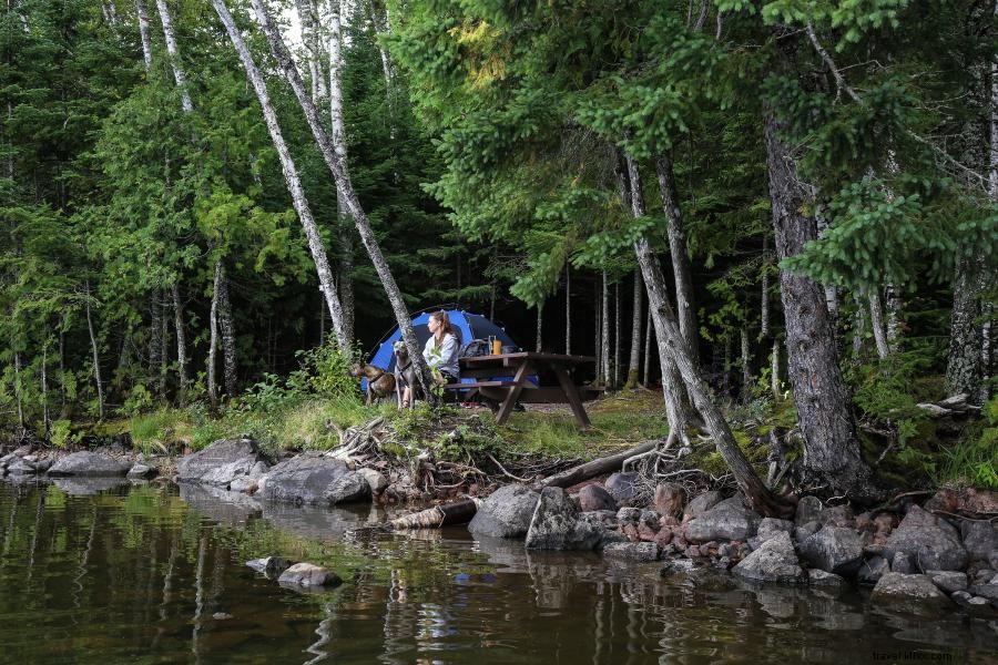 Discover Why Minnesota Is Ideal for Forest Bathing