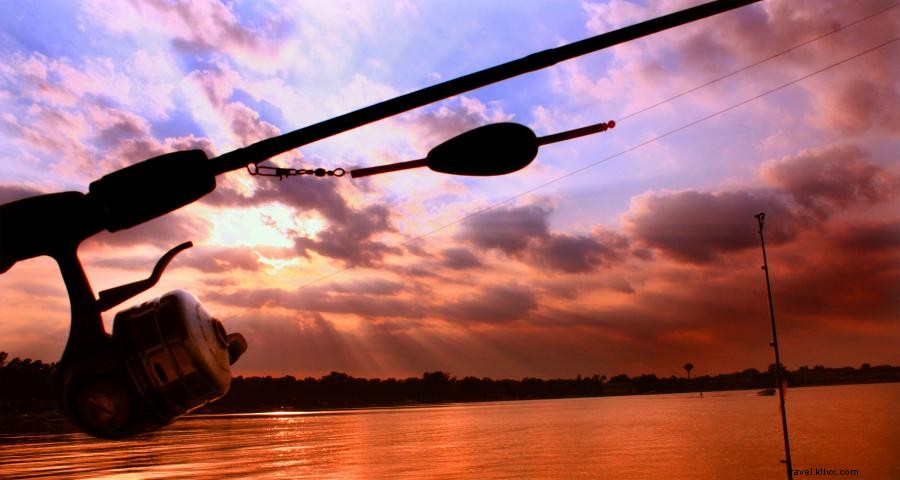 Top Minnesota Bass Fishing Destinations: Lakes & Rivers for Largemouth & Smallmouth