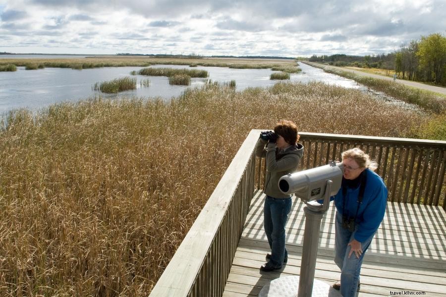 Discover the Stunning Fall Migration on Minnesota s Pine to Prairie Birding Trail