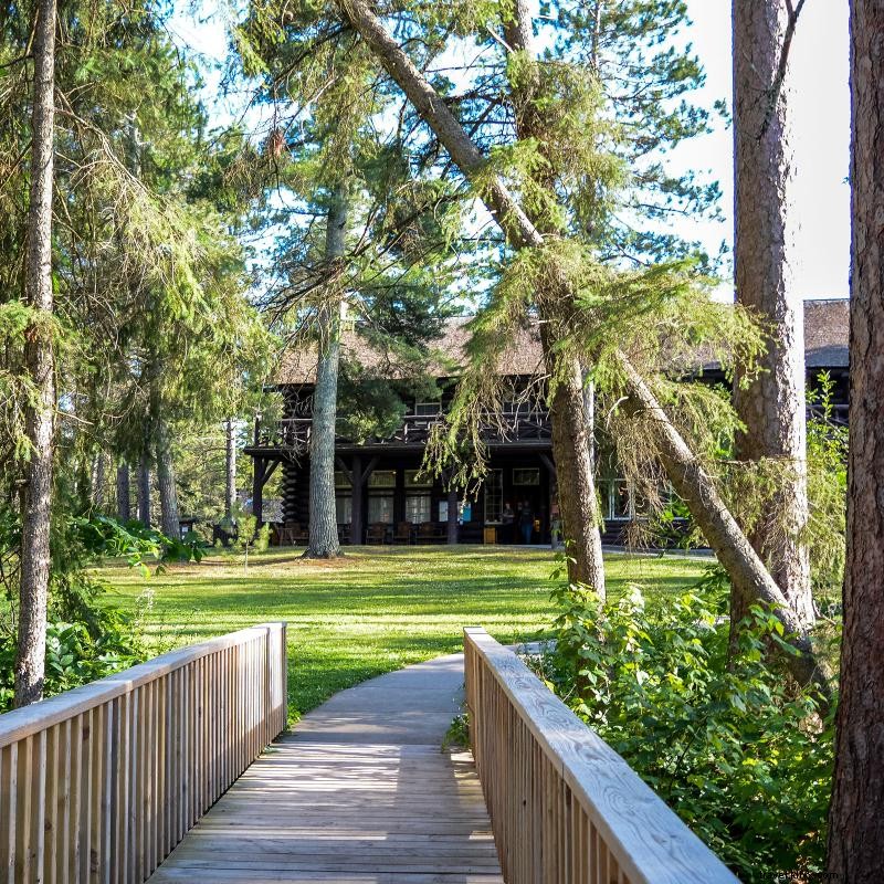 Explore the Birthplace of the Mississippi River at Itasca State Park