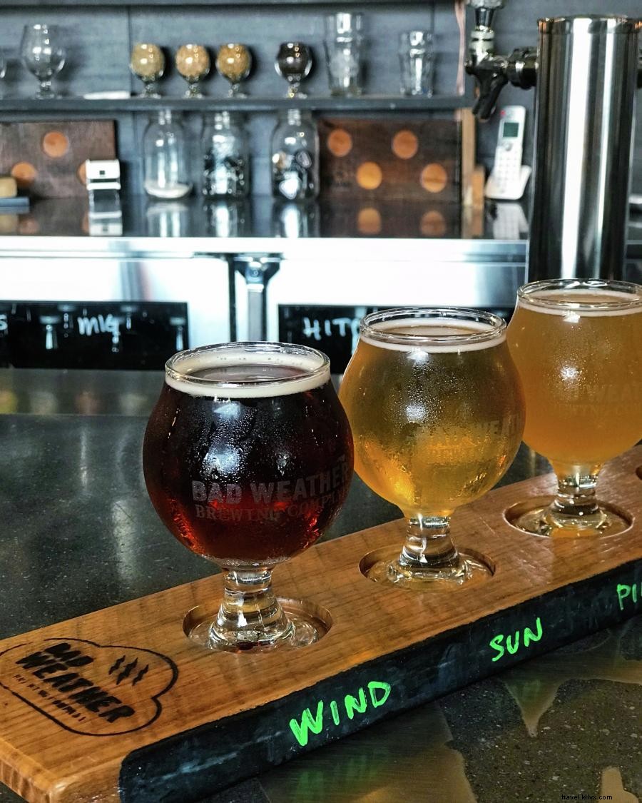 Explore Minnesota with Your Dog: 6 Top Hikes and Dog‑Friendly Breweries