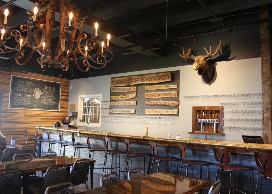 Explore Minnesota with Your Dog: 6 Top Hikes and Dog‑Friendly Breweries