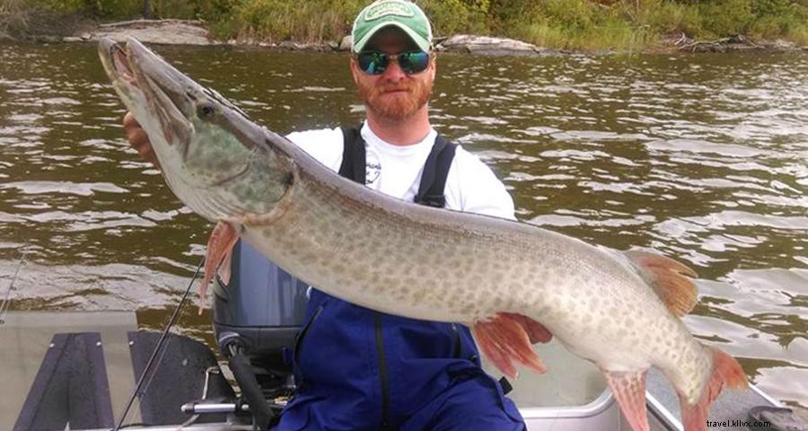 Catch Trophy‑Sized Fish This Fall: A Guide for Minnesota Anglers
