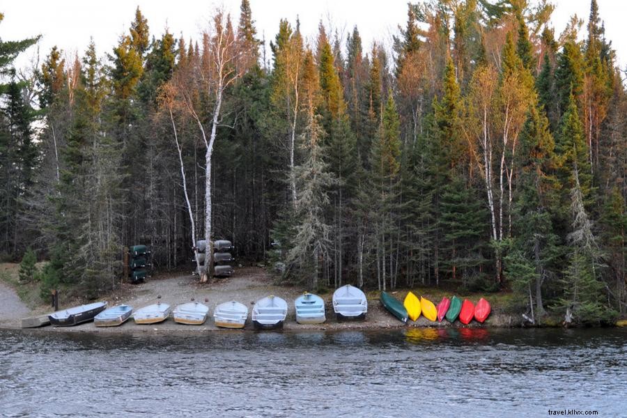 Explore Wolves & Bears at Ely’s Top Wildlife Centers