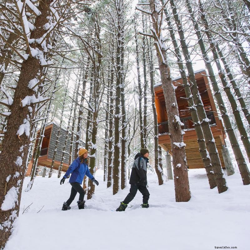 Explore Minnesota s Wilderness on Snowshoes: A Winter Adventure