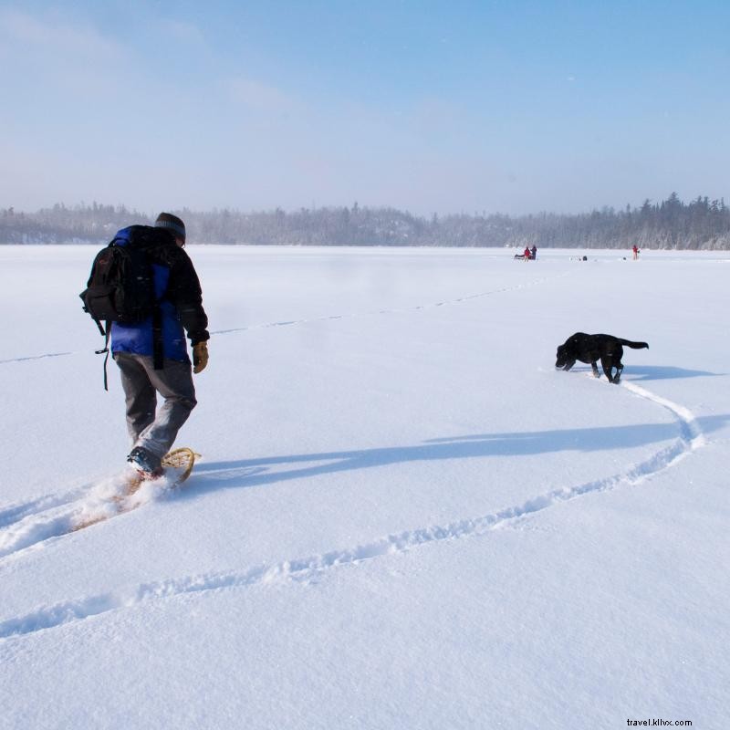 Explore Minnesota s Wilderness on Snowshoes: A Winter Adventure