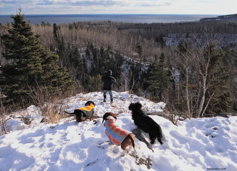 Explore Minnesota s Wilderness on Snowshoes: A Winter Adventure
