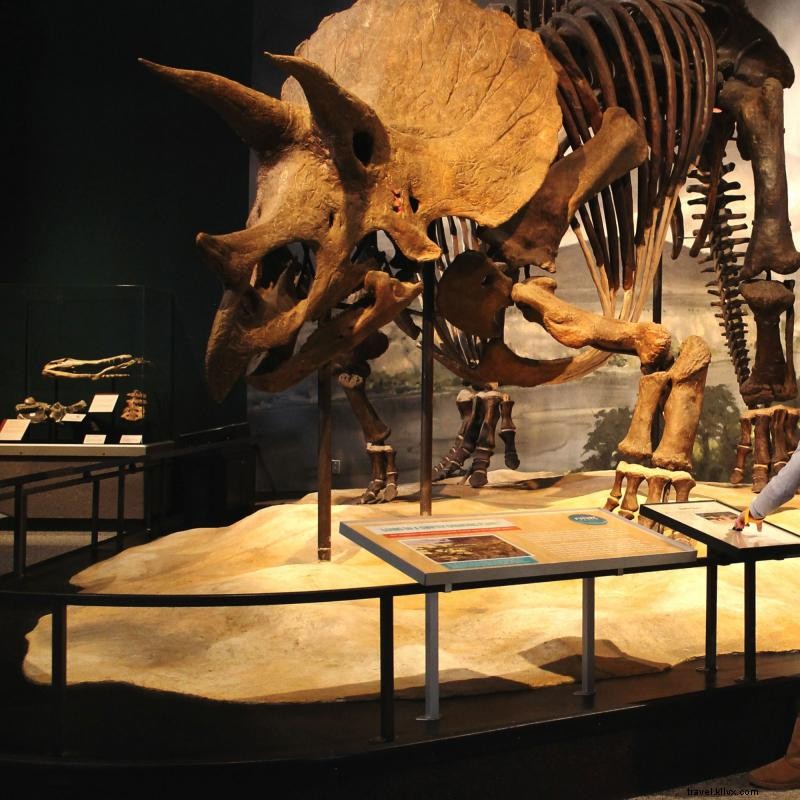 Top Family Destinations: Minnesota’s Best Kid-Friendly Attractions