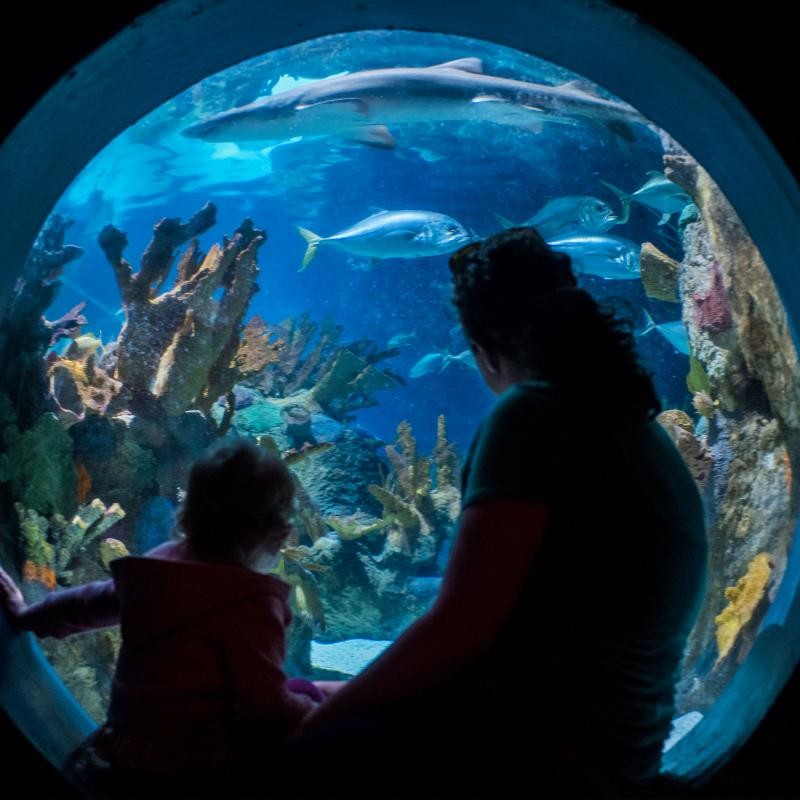 Top Family Destinations: Minnesota’s Best Kid-Friendly Attractions
