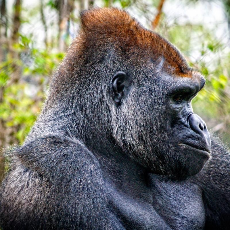 Top Family Destinations: Minnesota’s Best Kid-Friendly Attractions