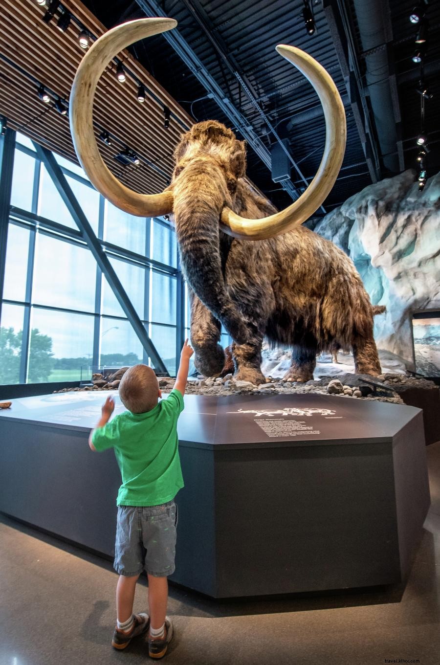 Top Family Destinations: Minnesota’s Best Kid-Friendly Attractions