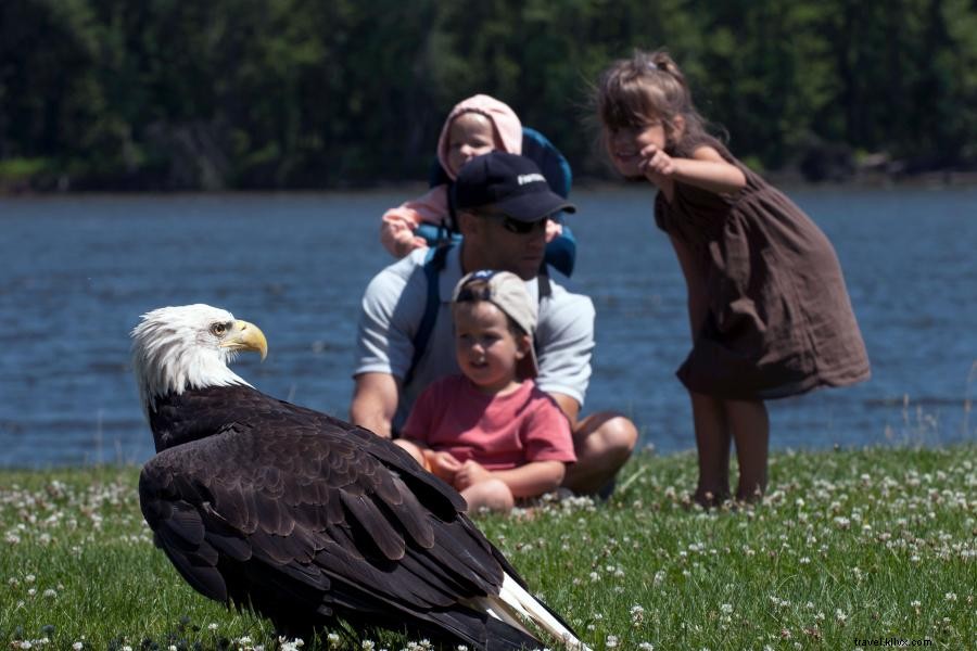 Top Family Destinations: Minnesota’s Best Kid-Friendly Attractions