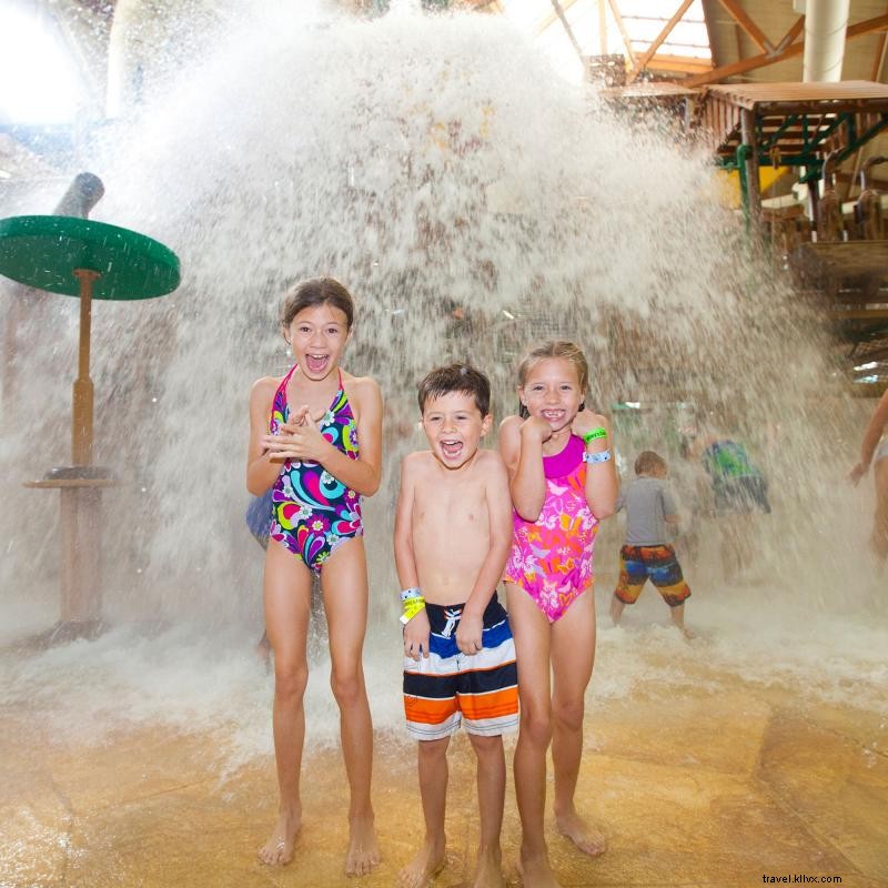 Dive into Minnesota’s Year‑Round Indoor Water Parks