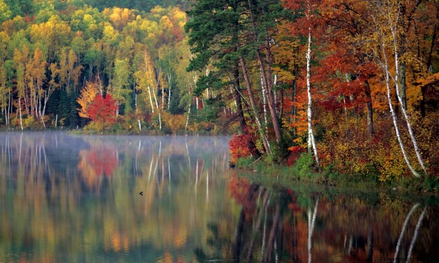 Explore Northwest Minnesota: Premier Hunting Destination with Rich Wildlife and Public Lands