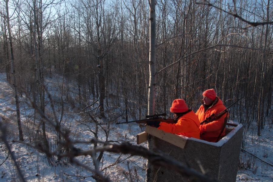 Top Hunting Spots for Deer in Minnesota: A Guide for Ethical and Successful Hunts