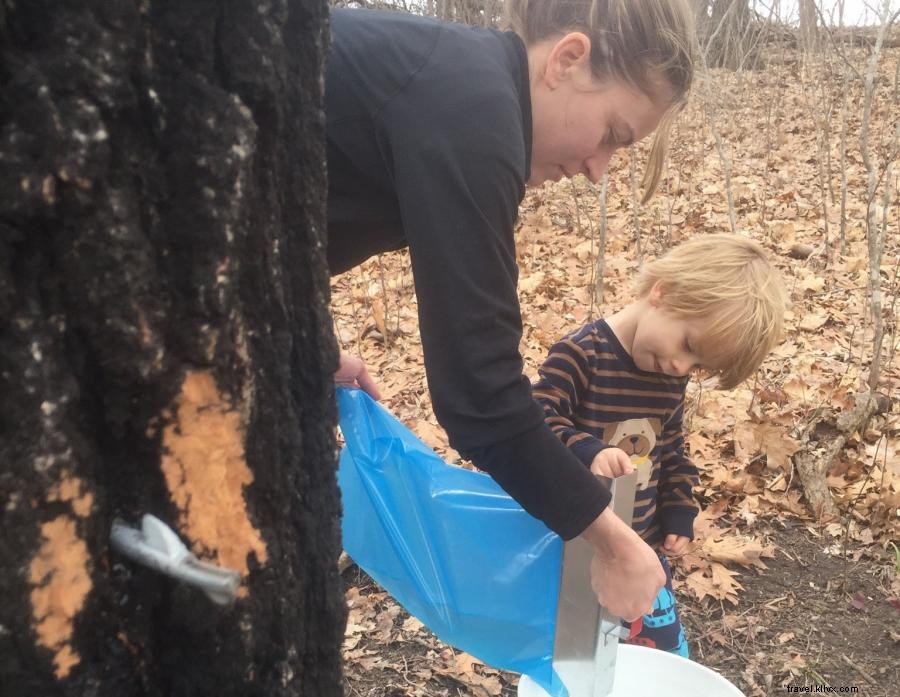 Explore 6 Mild & Wild Spring Adventures in Southern Minnesota