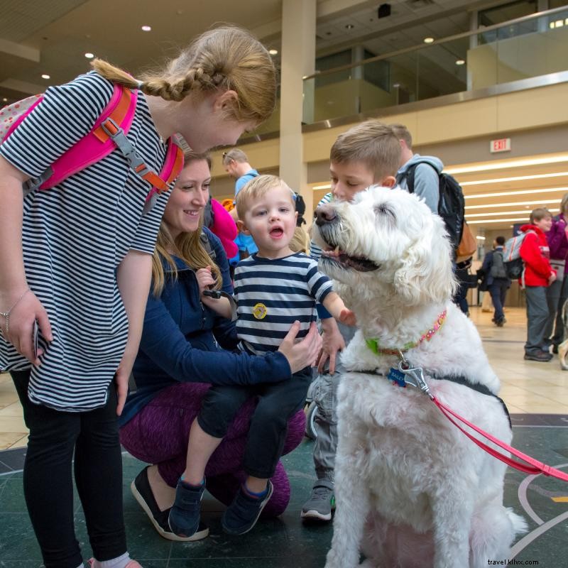 Explore MSP Airport: 10 Must-See Highlights