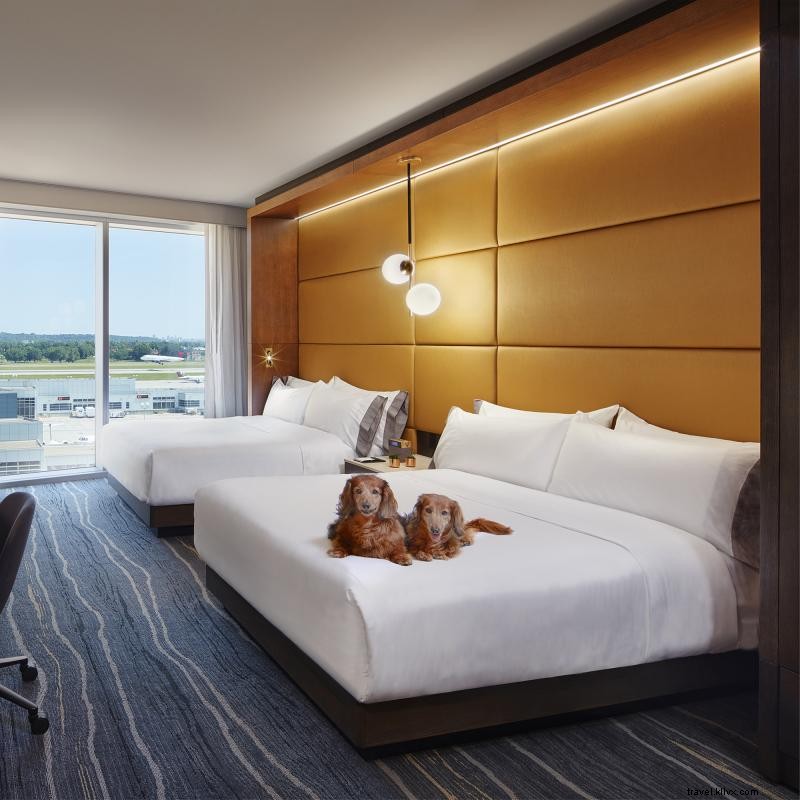 Explore MSP Airport: 10 Must-See Highlights