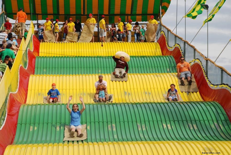 Top 25 Must-Do Experiences at the Minnesota State Fair