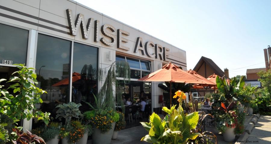 Minnesota Apple Guide: Where to Pick, Eat, and Enjoy the Best Honeycrisp