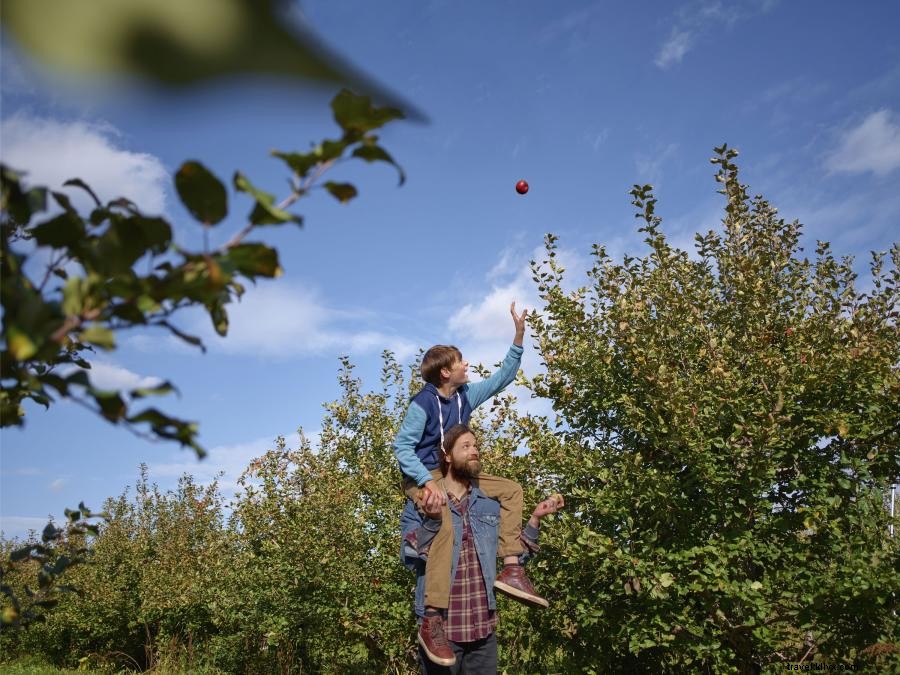 Minnesota Apple Guide: Where to Pick, Eat, and Enjoy the Best Honeycrisp