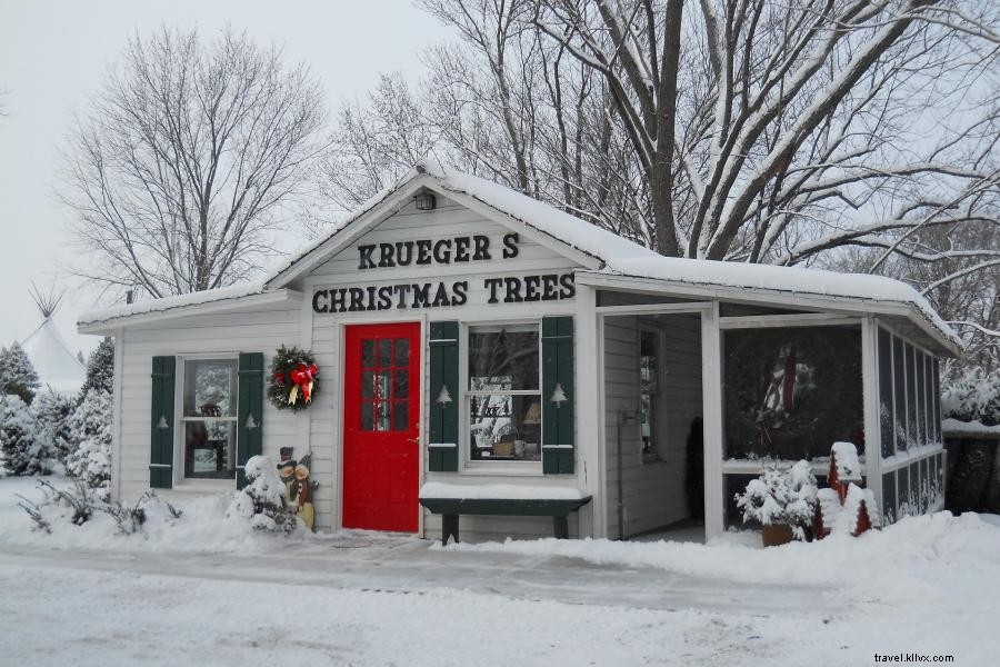 12 Festive Ways to Celebrate Minnesota s Holidays